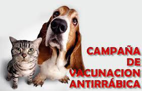 imagen vacunación antirrabica