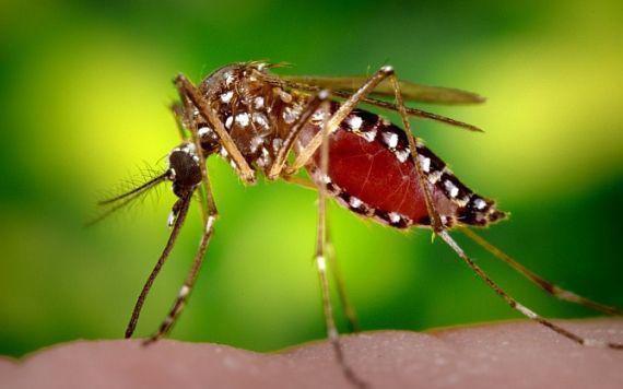 xbig_300bb316b5559a0b63d6da7e2974bce1