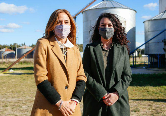 imagen Tolosa Paz y Merquel