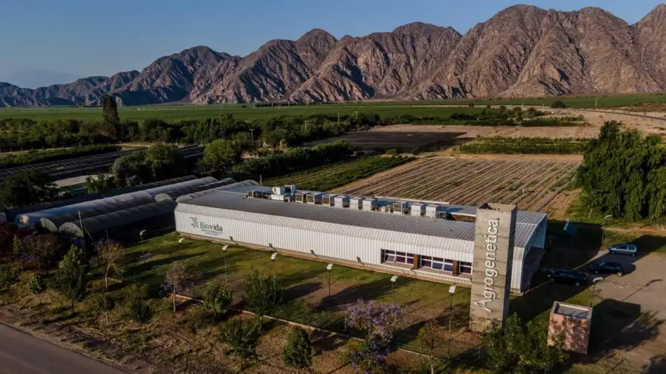 Imagen agrogenetica-la-rioja-cannabis