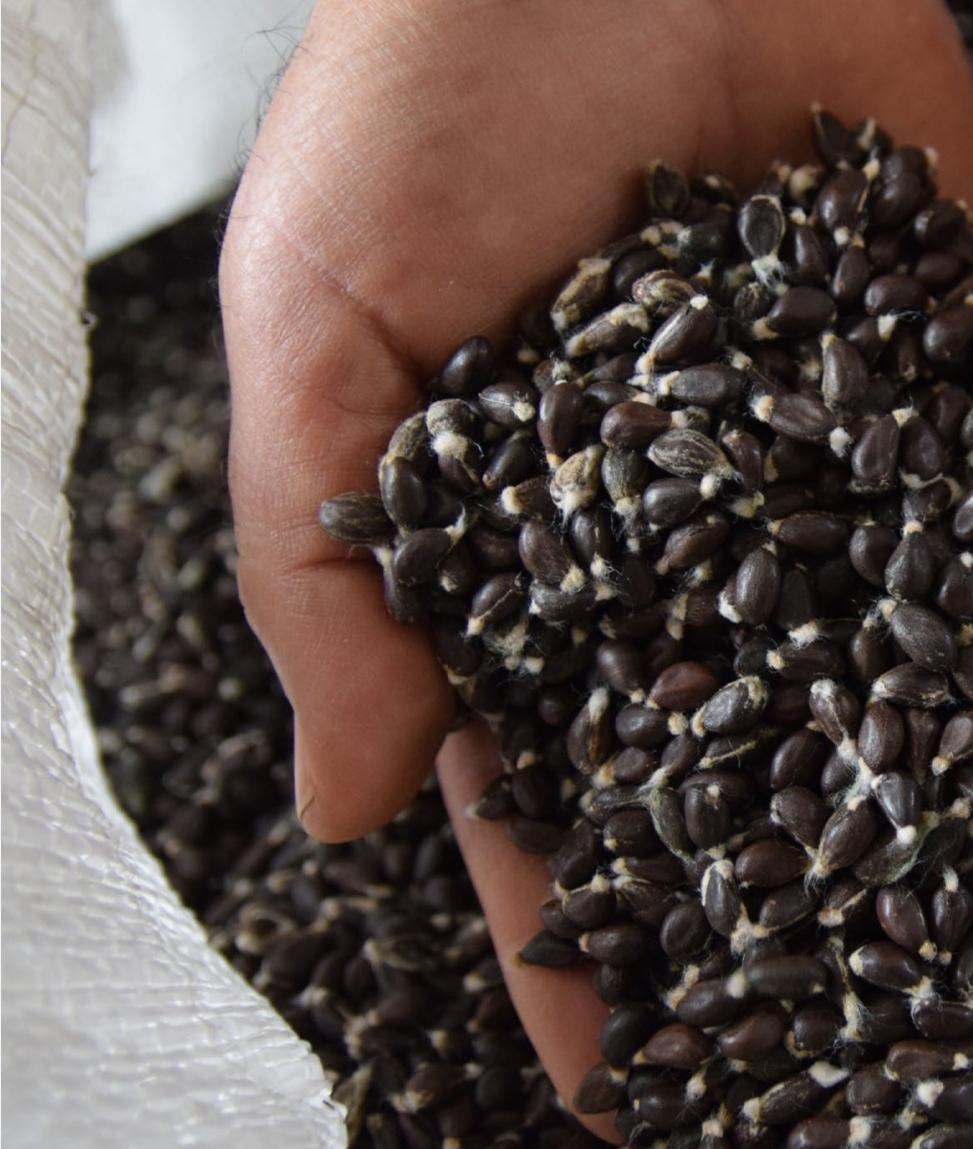 Screenshot_20221019-065750_Drive