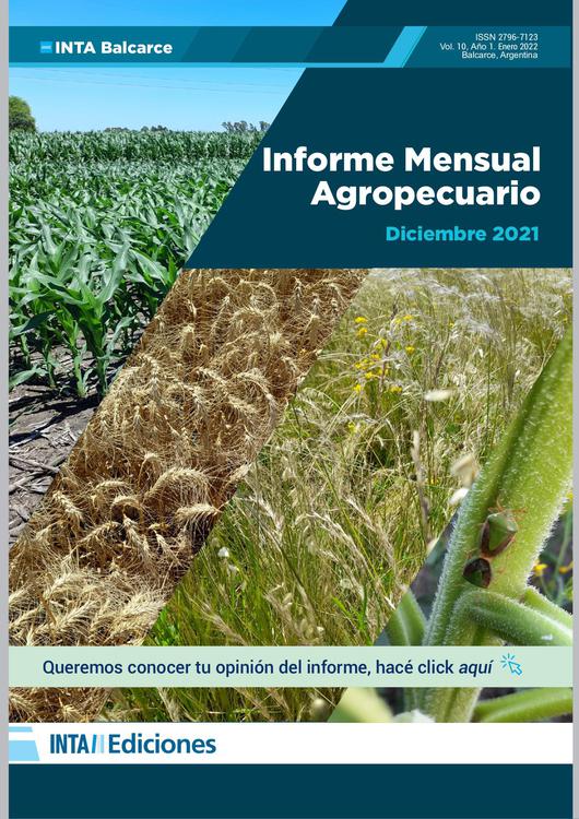 IMA DICIEMBRE  2021 diff (1)_page-0001