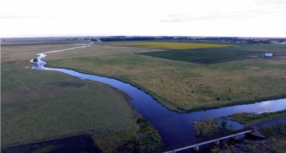 Screenshot_20220512-095227_Chrome