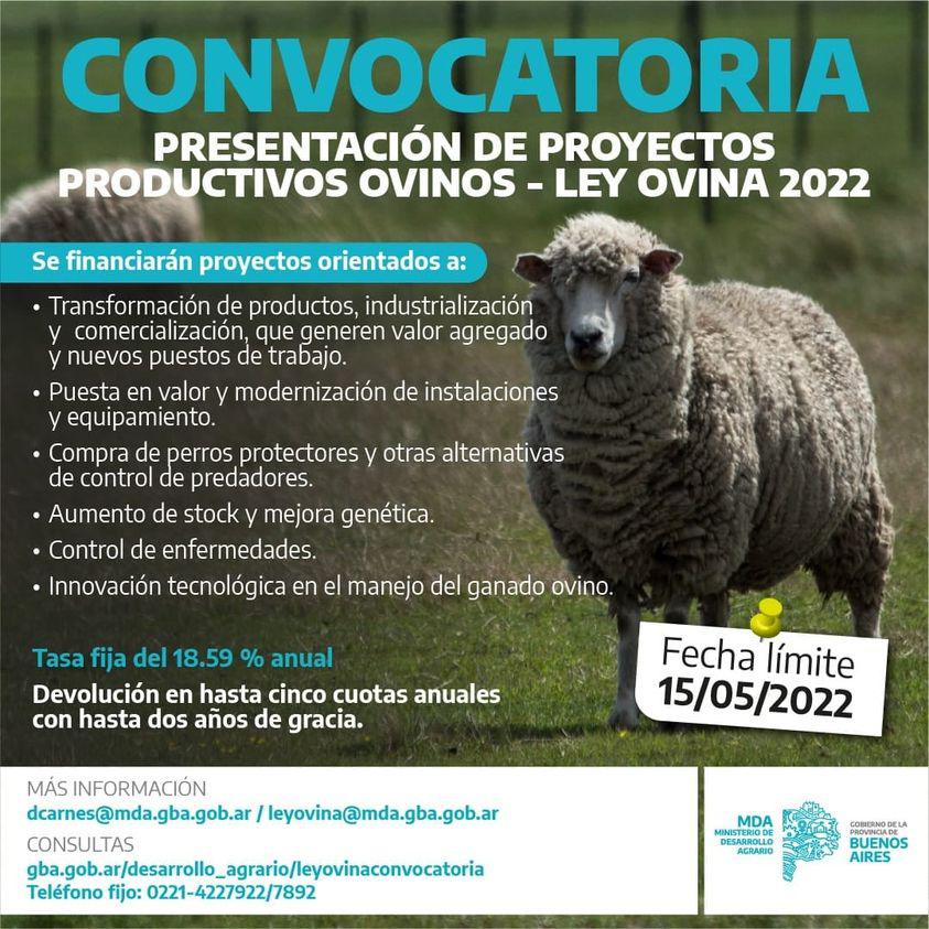 imagen financiamiento producción ovina