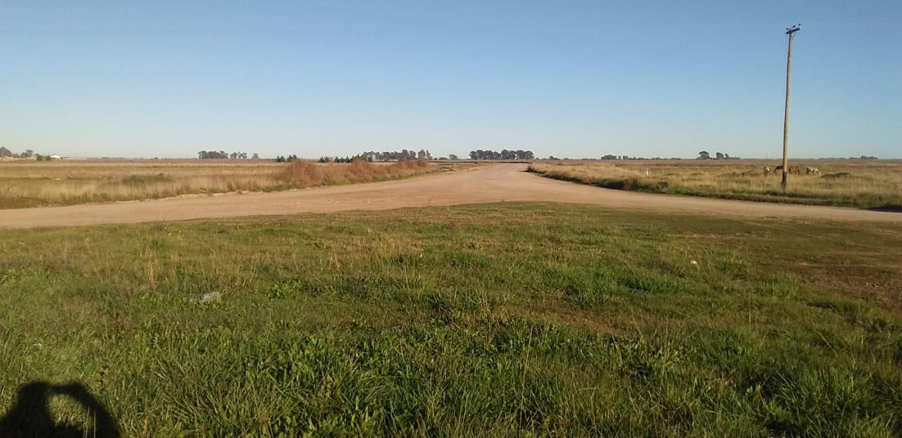 WhatsApp Image 2021-05-11 at 09.19.59