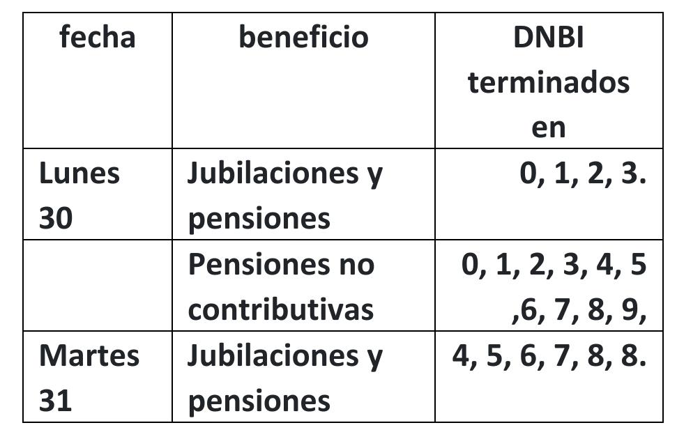 IPS Cronograma de pagos