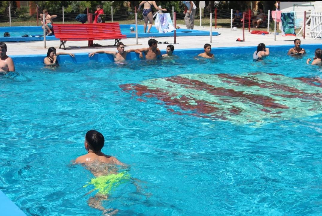 Screenshot_20221220-075849_WhatsApp