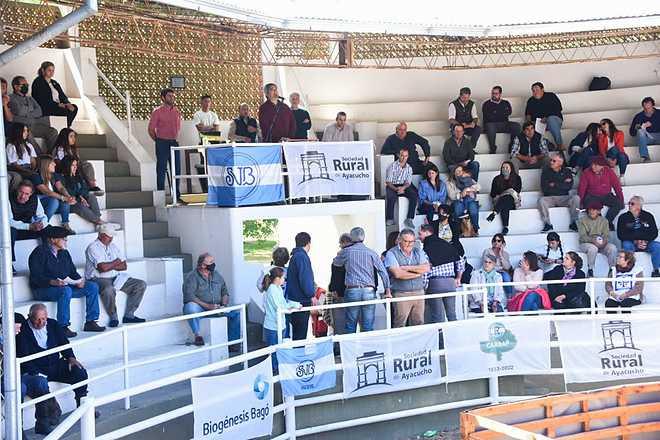 imagen rodriguez en Exposición de Reproductores Ovinos en Ayacucho