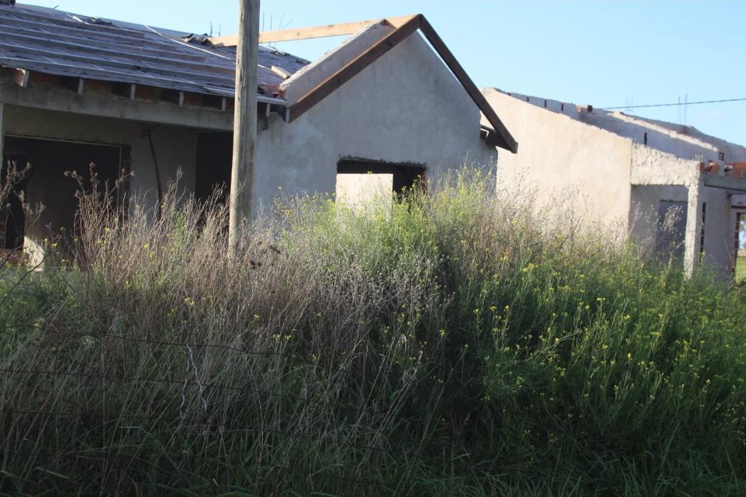 Screenshot_20230331-064131_WhatsApp