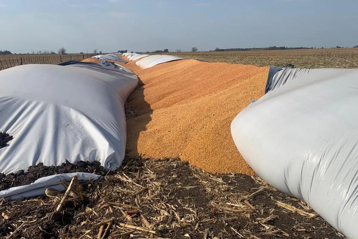 imagen silos rotos 2