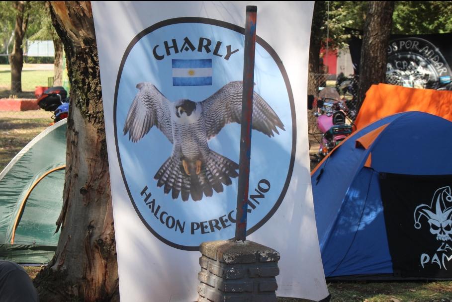 Screenshot_20230312-075731_Photos