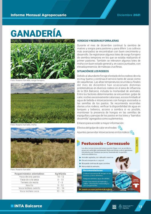 IMA DICIEMBRE  2021 diff (1)_page-0014