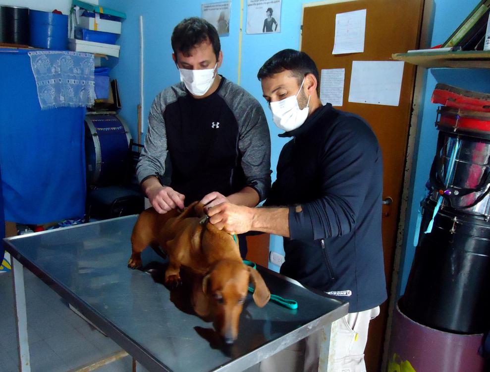 InShot_20210610_072653783