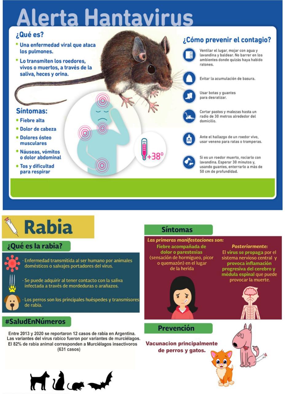 WhatsApp Image 2021-10-27 at 10.24.45