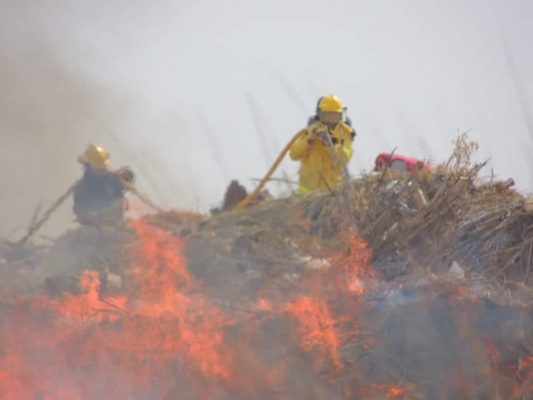 FB_IMG_1663415426960