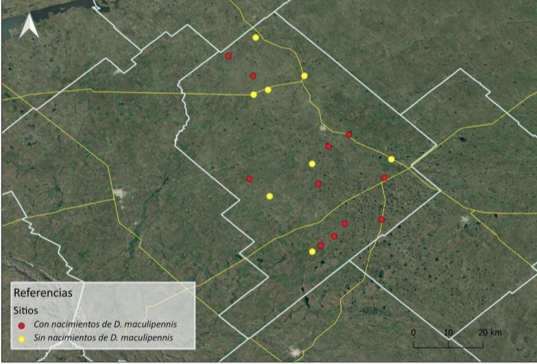 Screenshot_20211120-080345_Drive