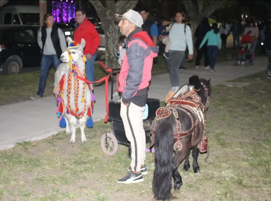 Screenshot_20231016-063550_WhatsApp