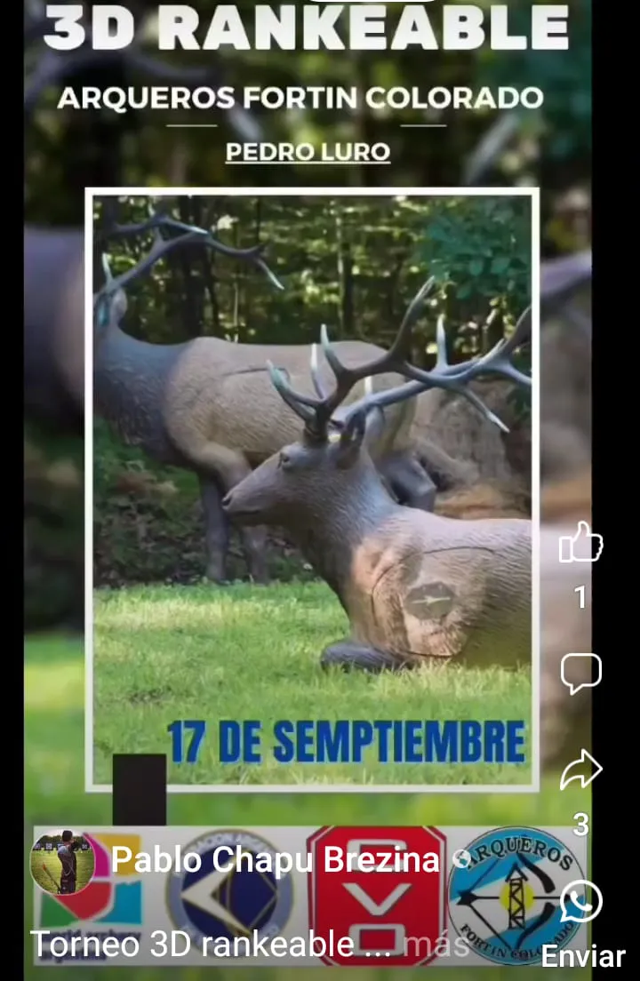 imagen Torneo arqueria