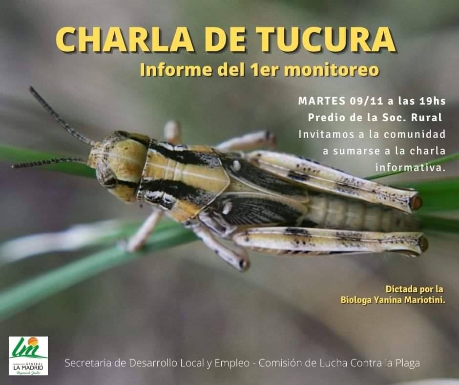 Imagen campaña tucura