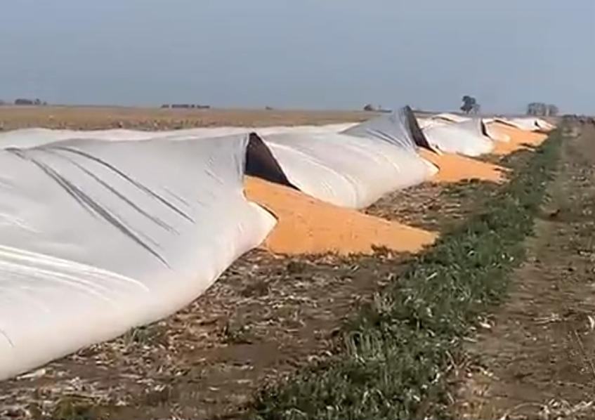 Screenshot_20220921-080722_Chrome