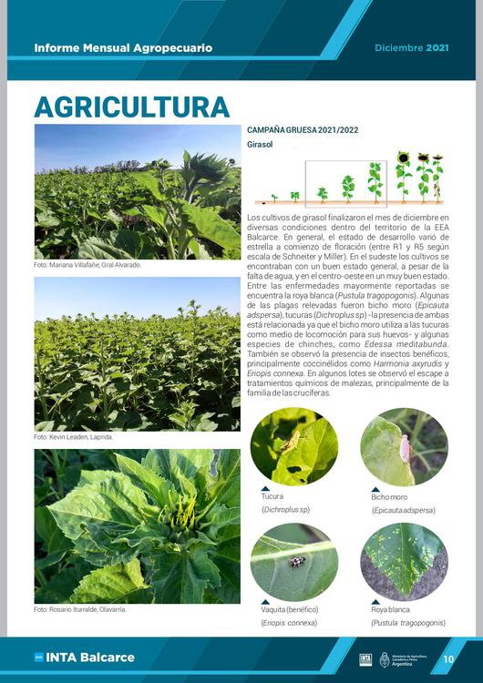 IMA DICIEMBRE  2021 diff (1)_page-0011