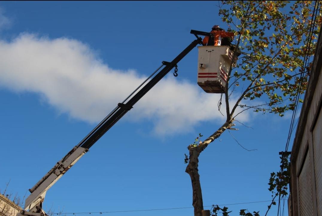 Screenshot_20230509-065124_WhatsApp