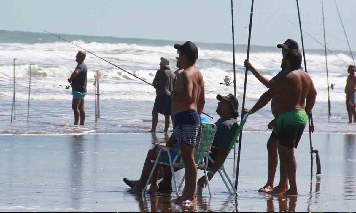 imagen corvina negra 2