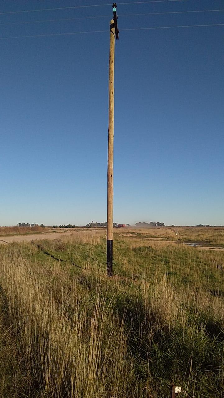 WhatsApp Image 2021-05-11 at 09.20.24