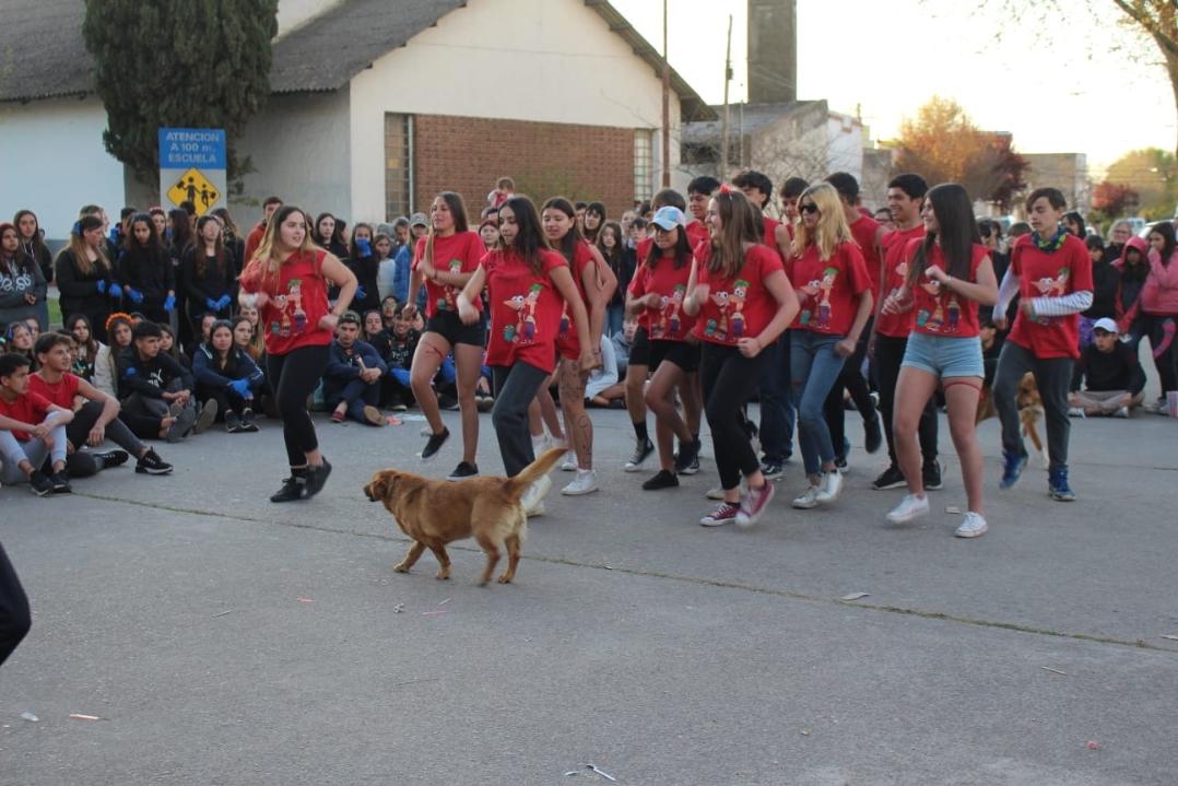 Screenshot_20220922-081046_WhatsApp