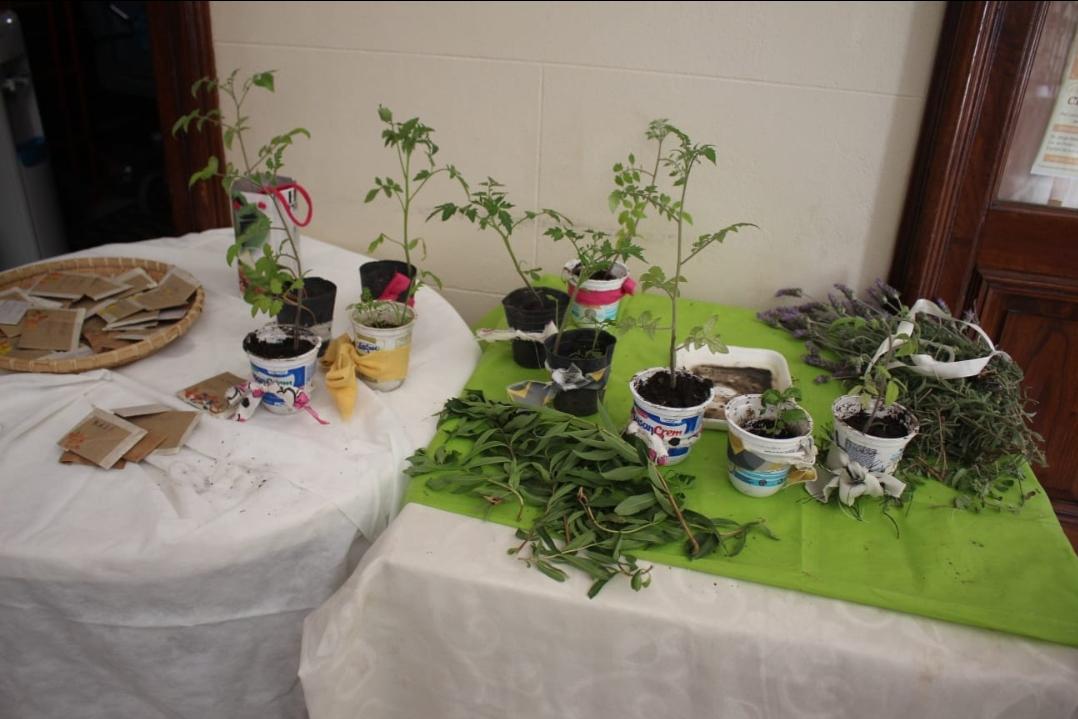 Screenshot_20221110-073524_WhatsApp