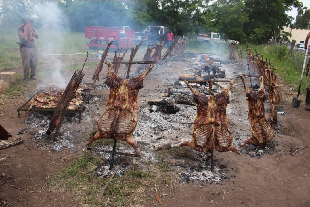 Screenshot_20221128-071854_WhatsApp