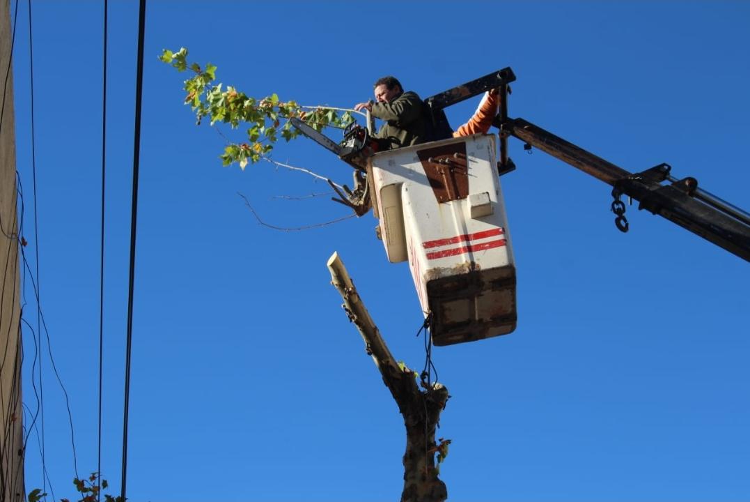 Screenshot_20230509-065207_WhatsApp