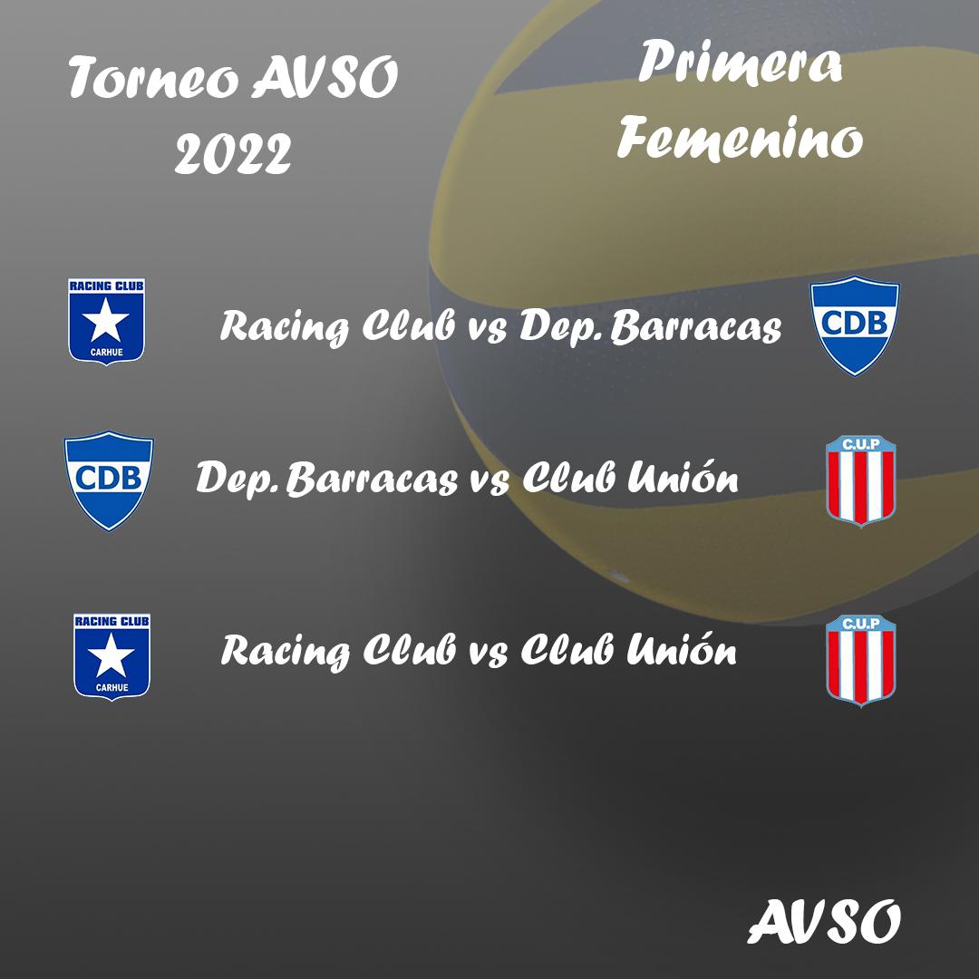 imagen programa voley 2