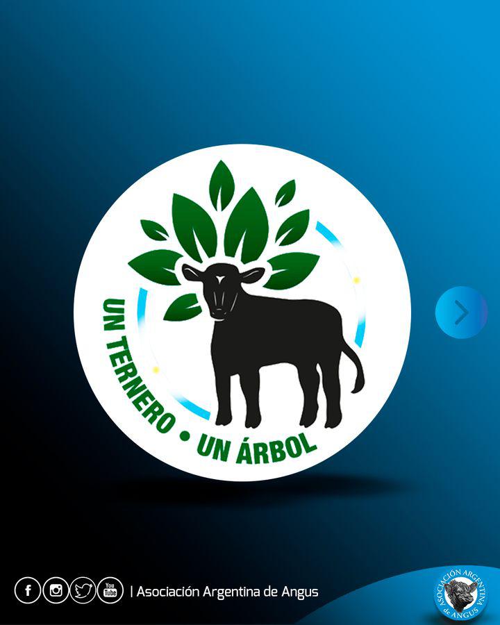 imagen un ternero un arbol