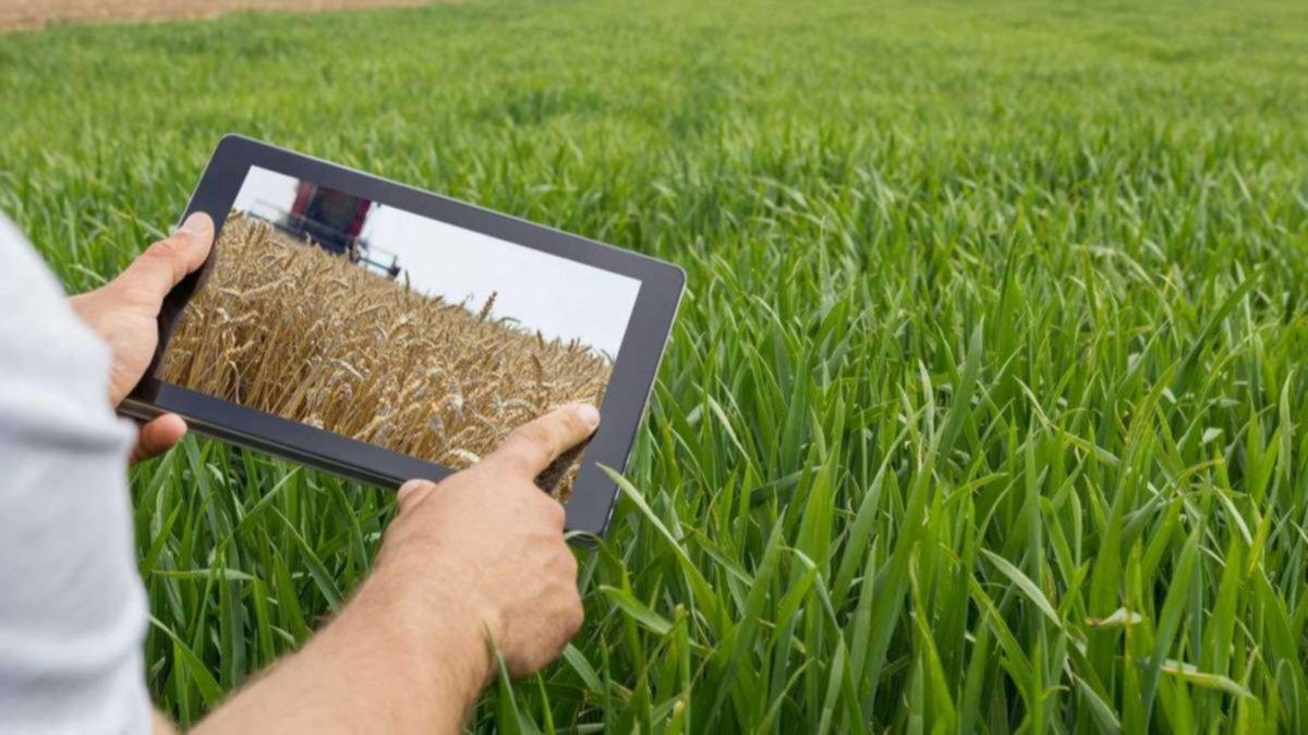 imagen plataforma digital 2