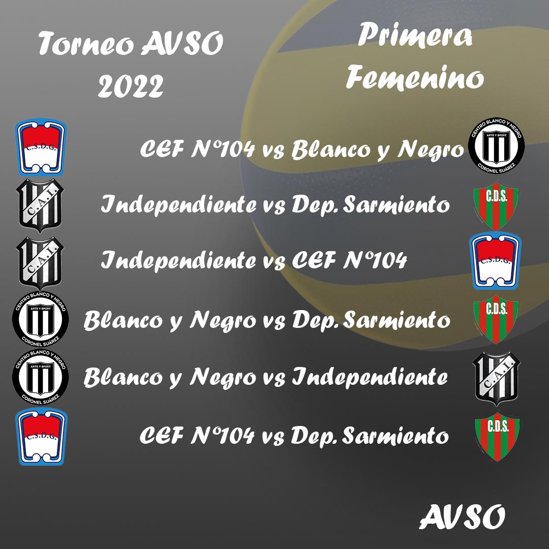 imagen programa voley 1