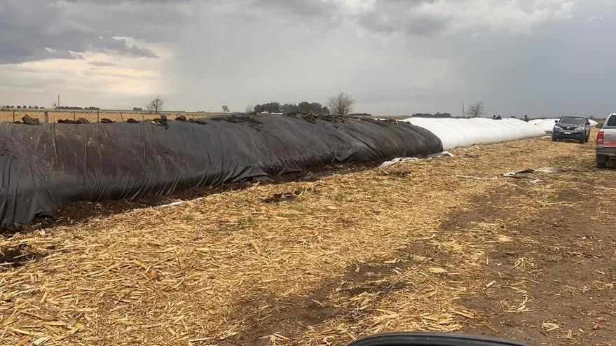 imagen silos rotos 3