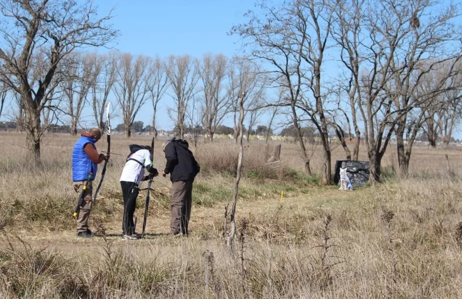 Screenshot_20230828-061643_WhatsApp