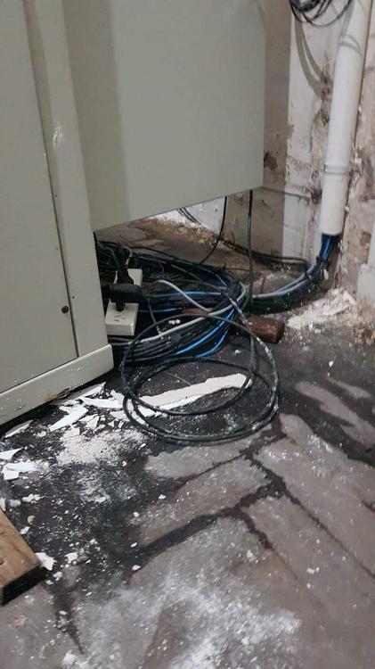 FB_IMG_1649328901453