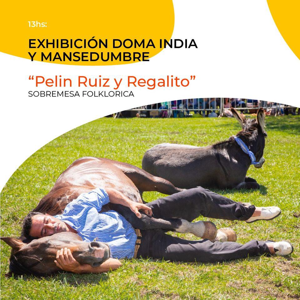 imagen detreza criolla 3