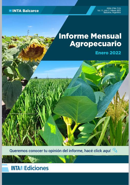 IMA ENERO 2022diff_page-0001