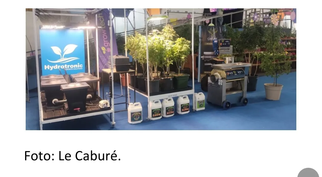 Screenshot_20231008-050955_Microsoft 365 (Office)