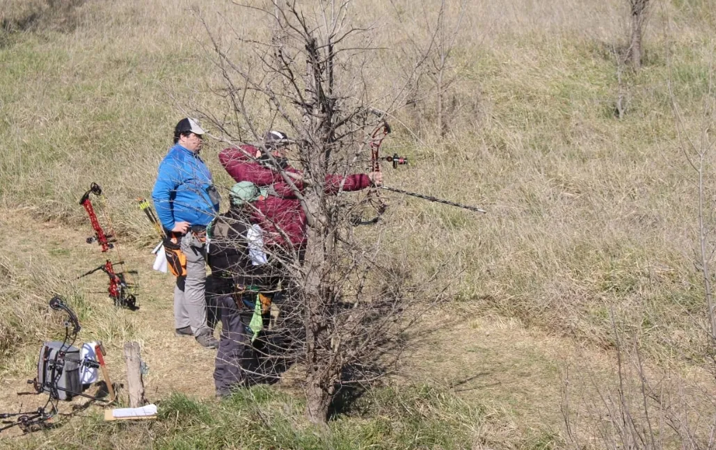 Screenshot_20230828-061532_WhatsApp