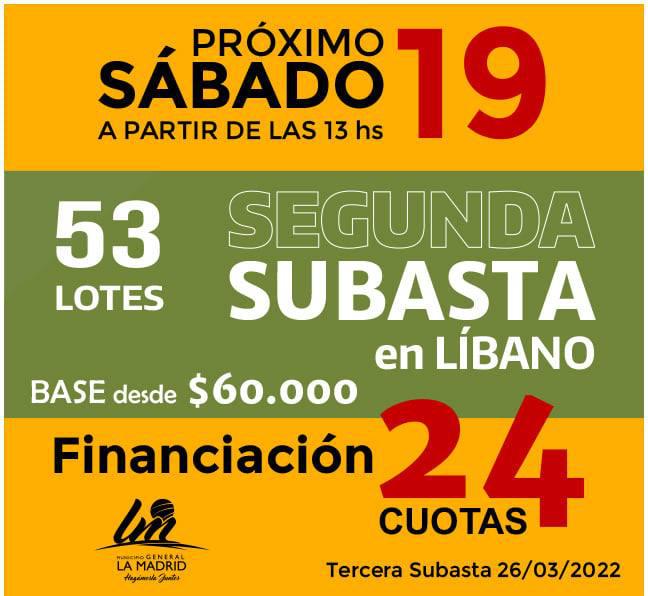 imagen subasta de terrenos en Libano