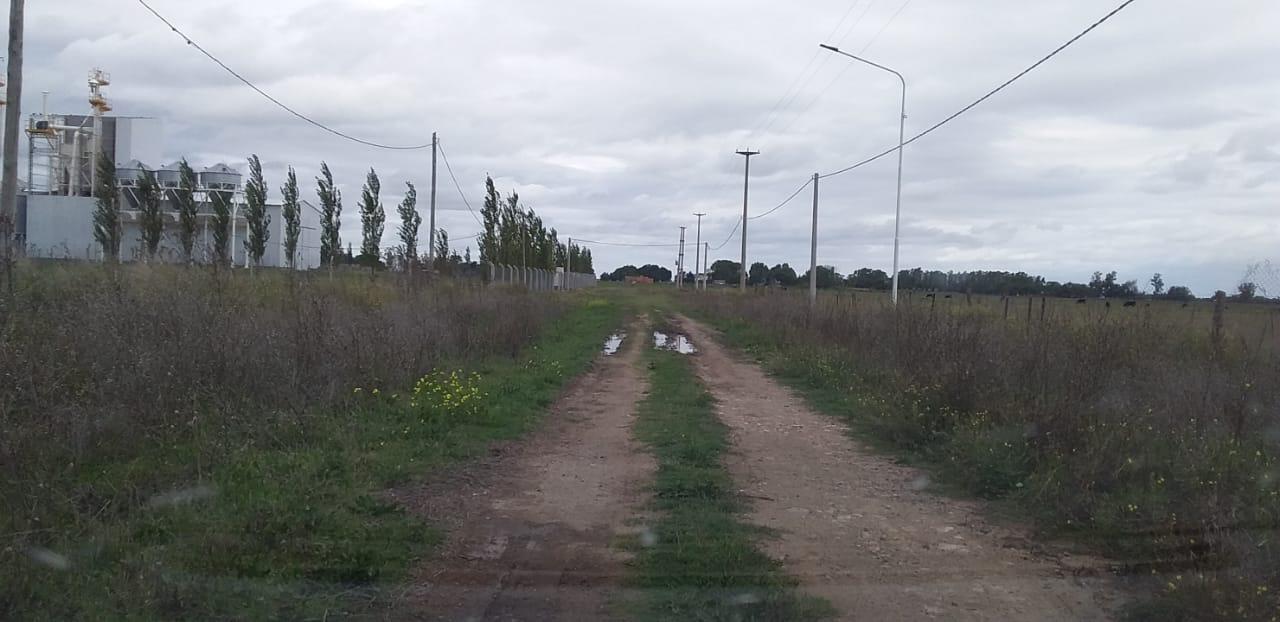 WhatsApp Image 2021-03-26 at 08.39.04