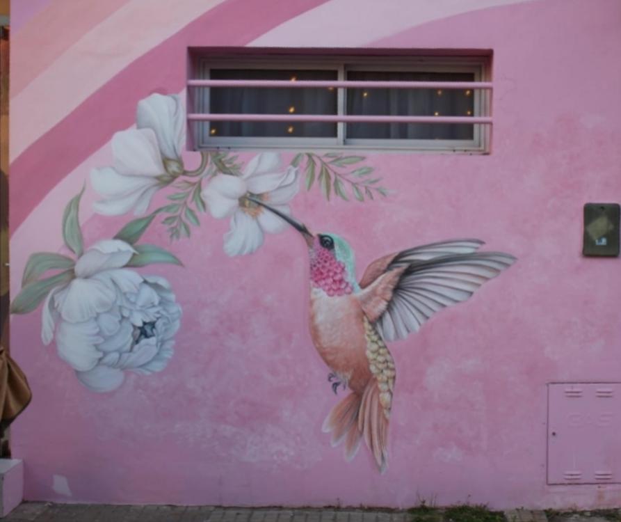 InShot_20221017_065515391