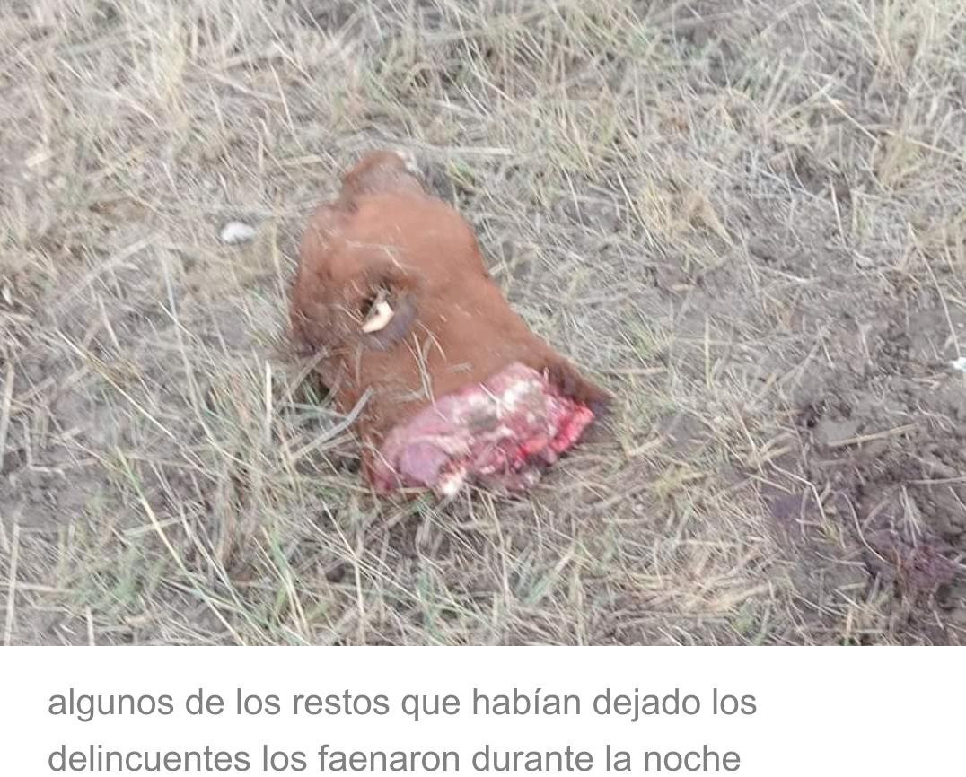 Screenshot_20230204-065241_Facebook