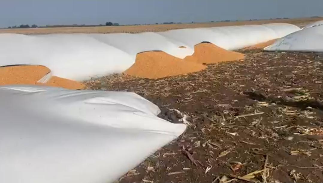 Screenshot_20220921-080708_Chrome