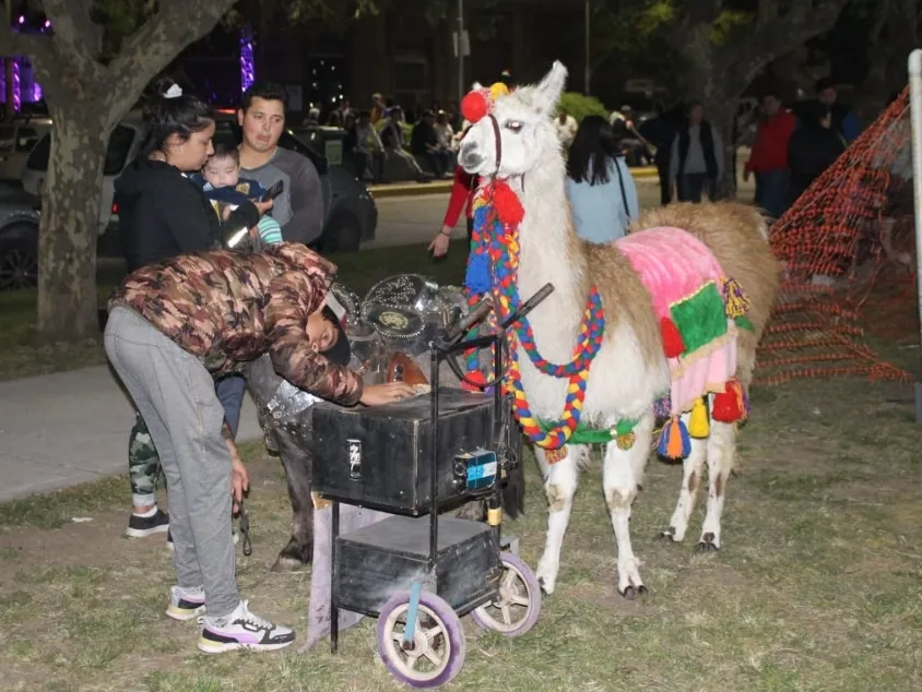 Screenshot_20231016-063534_WhatsApp