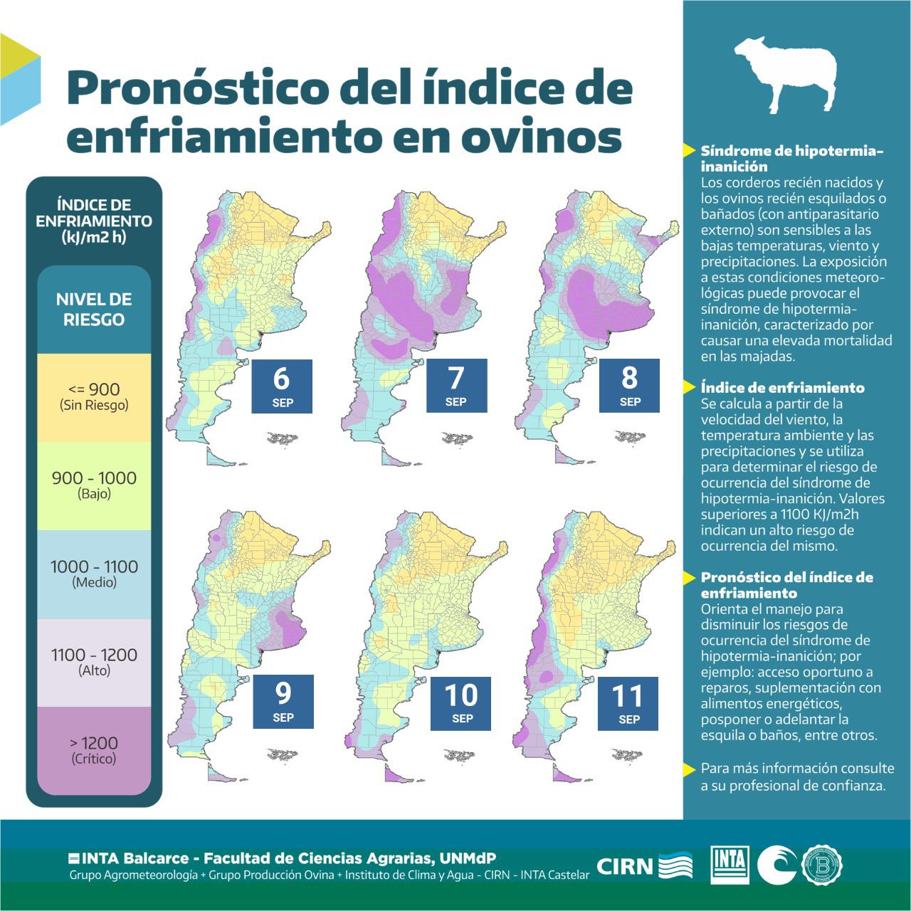 WhatsApp Image 2021-09-06 at 21.31.20